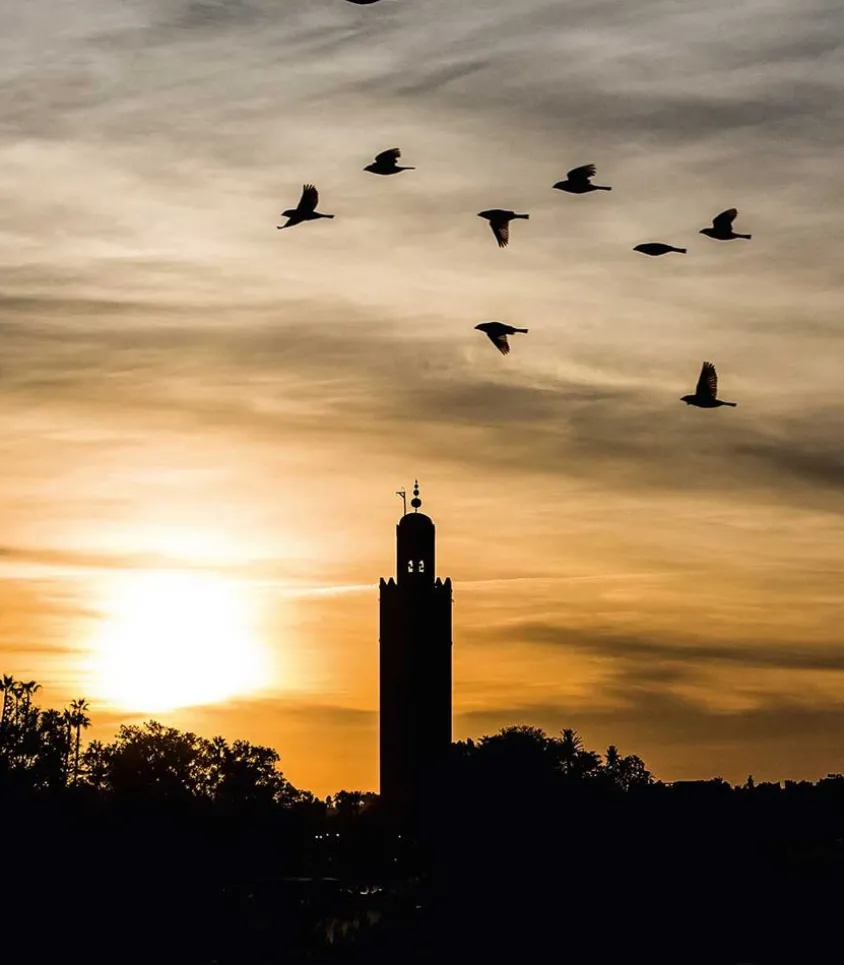 36 Hours World, The New York Times