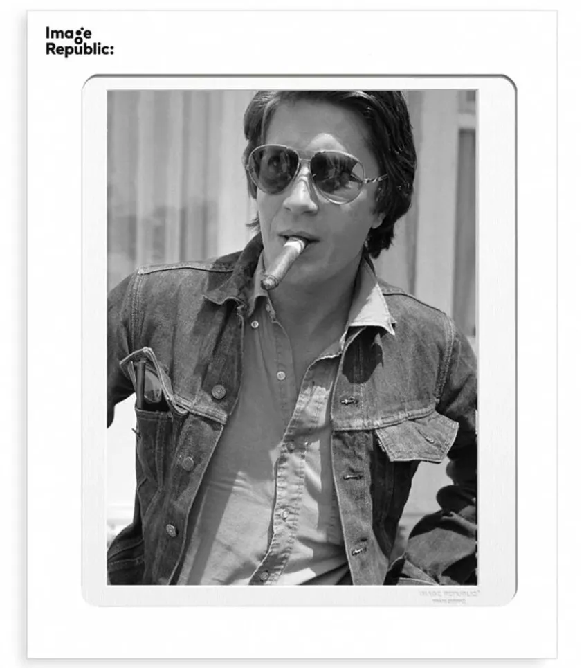 Affiche Dutronc Festival 40 X 50 Cm