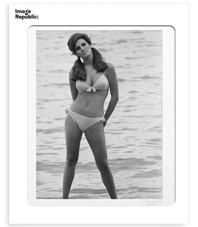 Affiche La Galerie Raquel Welch 4 38 X 56 Cm