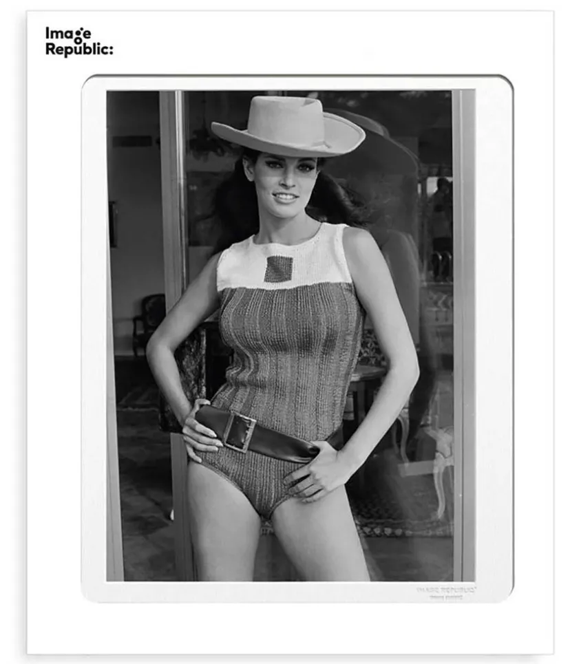 Affiche La Galerie Raquel Welch 3 38 X 56 Cm