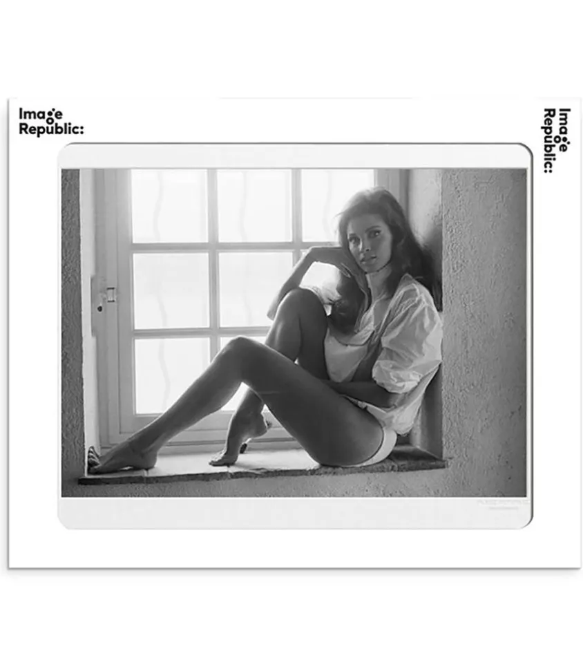 Affiche La Galerie Raquel Welch 1 38 X 56 Cm