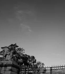 Bougie #213 Rue Saint Honore Air 190G