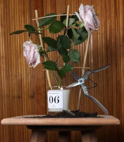 Bougie Parfumee 06 Rose, Yuzu Et Musc Blanc