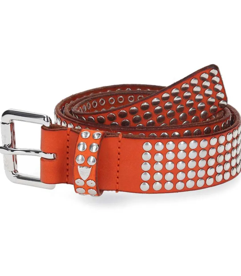 Ceinture Coloree A Clous Studs
