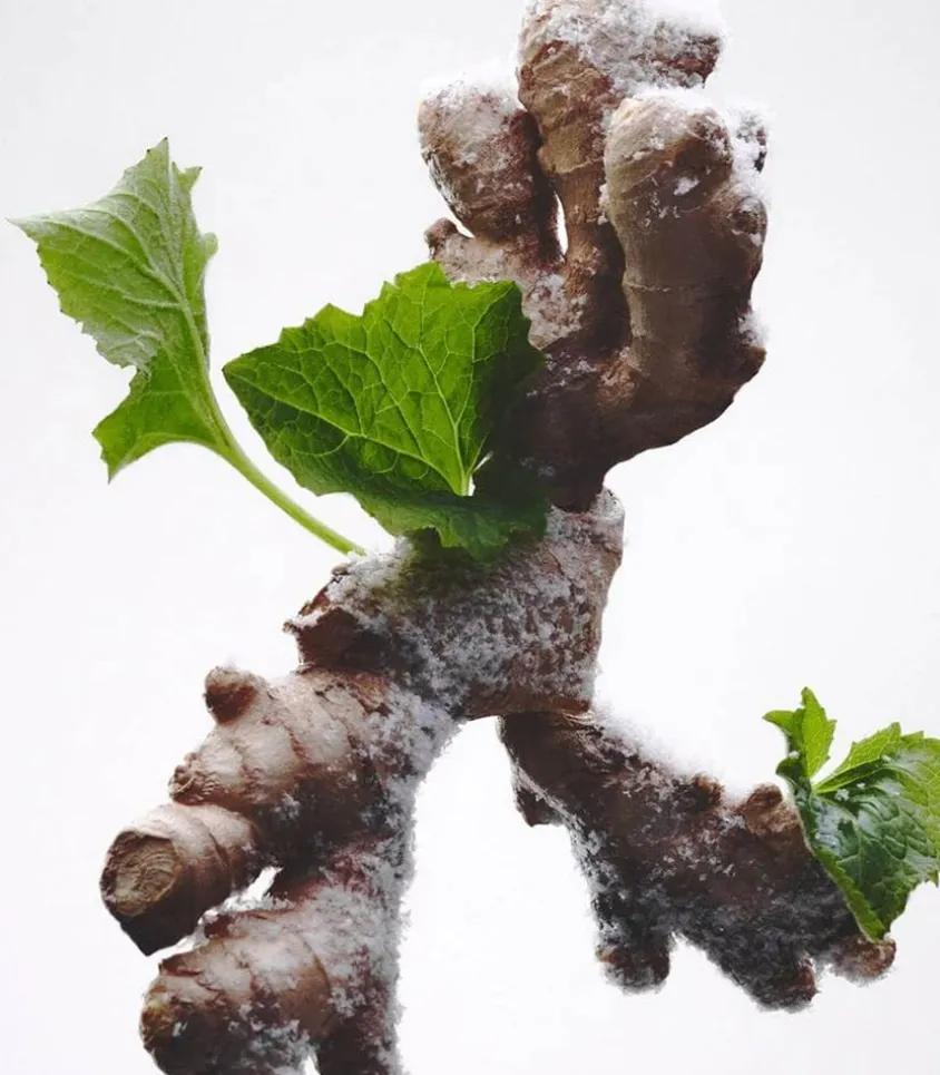 Eau De Parfum 803 Embruns, Gingembre, Patchouli 30 Ml