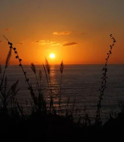 Eau De Toilette #24 Play Again Now 100Ml