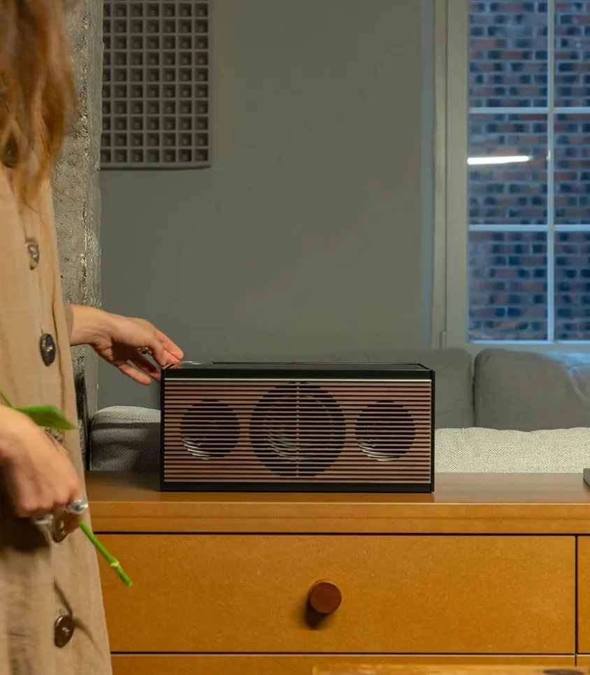 Enceinte Multiroom Pr Link Noir/Noyer