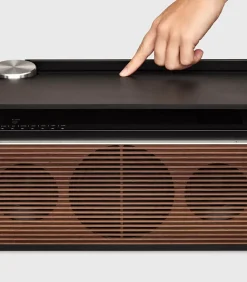 Enceinte Multiroom Pr Link Noir/Noyer