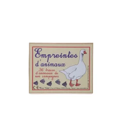 Jeu De Cartes "Empreintes D'Animaux"