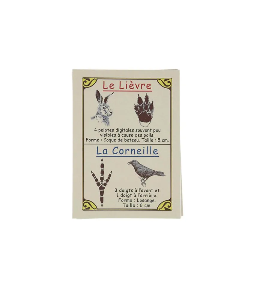 Jeu De Cartes "Empreintes D'Animaux"