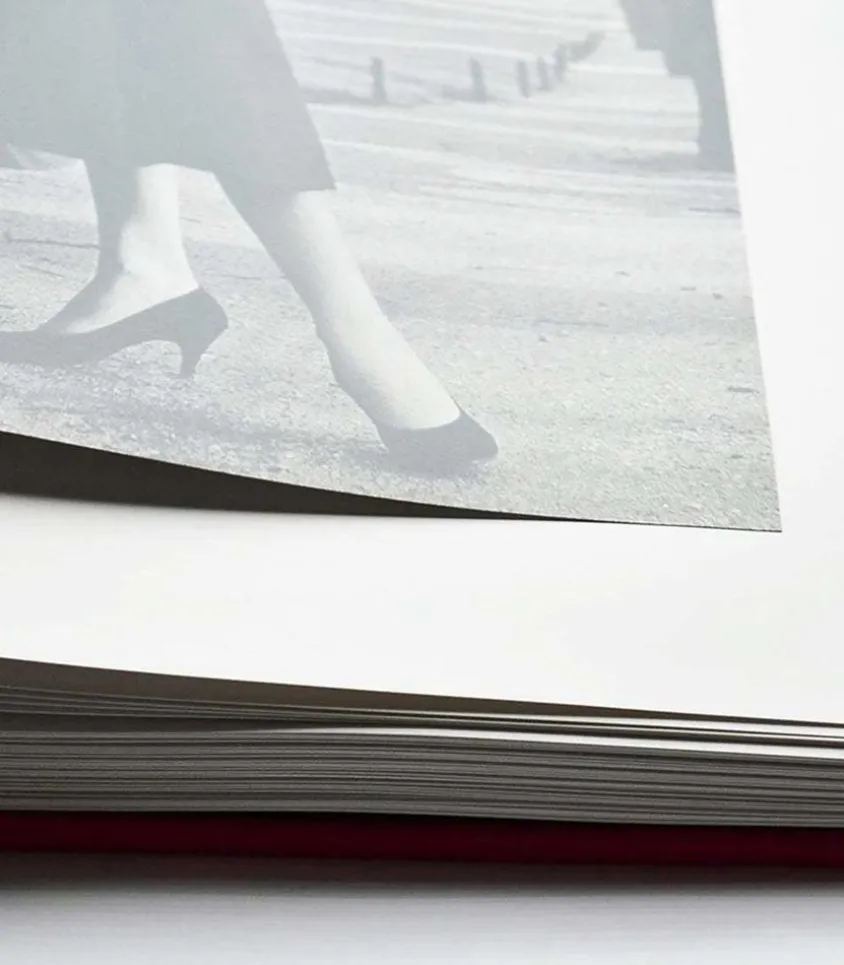 Livre Louis Vuitton Windows (Ultimate Edition)