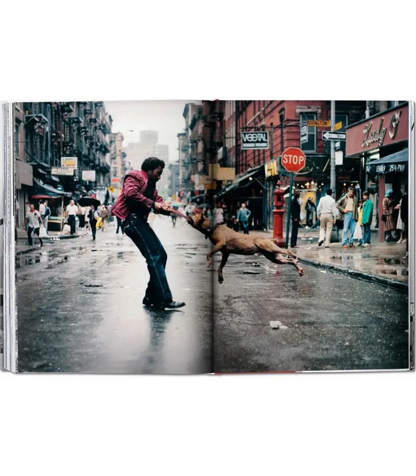 Livre New-York, Portrait Of A City