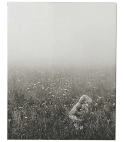 Livre The Golden Retriever Photographic Society