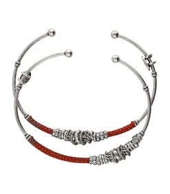 Lot 2 Joncs Zizanie Argentes Et Coton