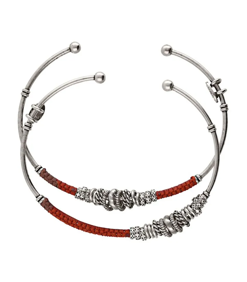 Lot 2 Joncs Zizanie Argentes Et Coton