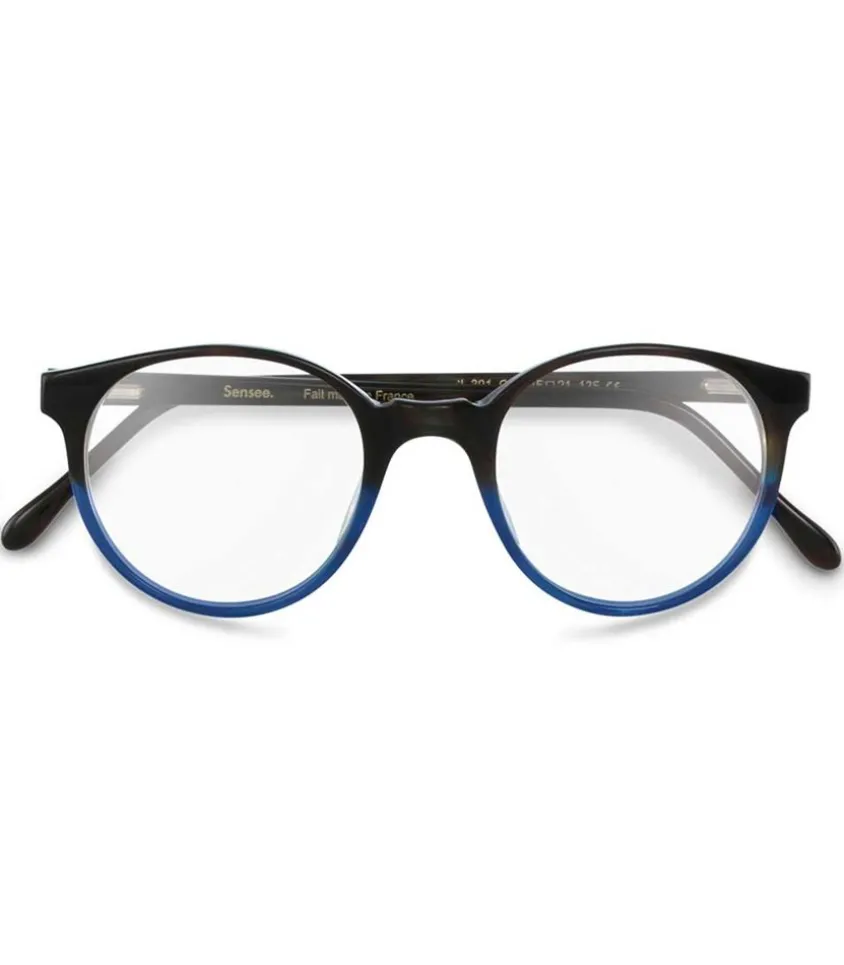 Lunettes Ecran Cl.301 Bicolore Degrade Bleu