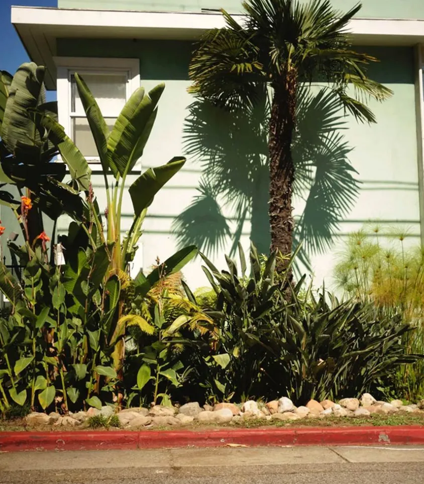 Parfum D'Ambiance #8 Red Garden 50Ml