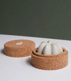 Shampoing Solide Detox