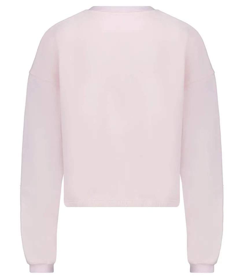 Sweat-Shirt Izubird Dragee Vintage