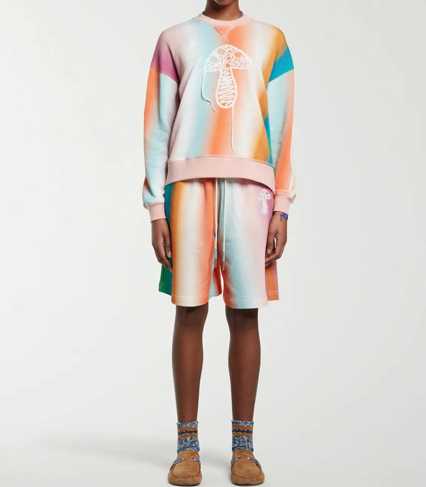 Sweat-Shirt Ombre Stripe Mushroom