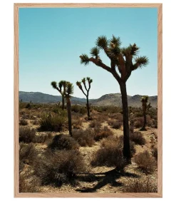 Tableau Avec Cadre "Joshua Tree" 30X40Cm
