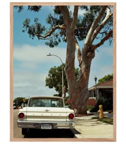 Tableau Avec Cadre "When Tomorrow Comes" 60X80Cm