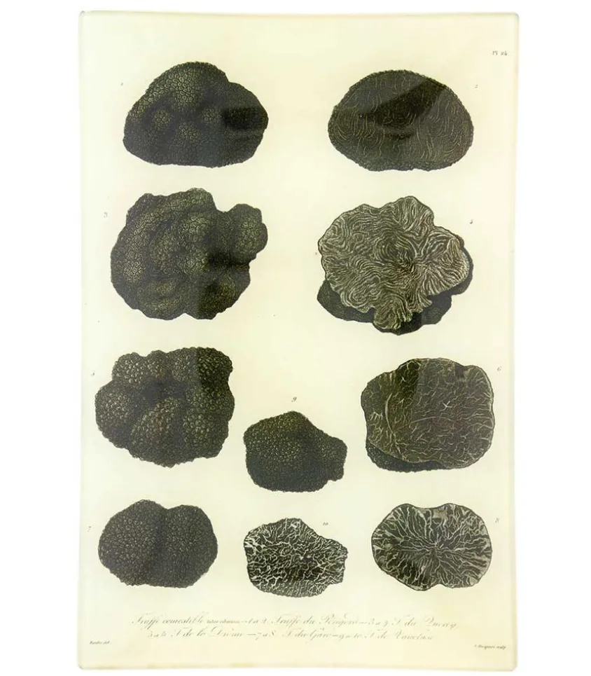 Vide-Poches Vintage "Mushrooms"